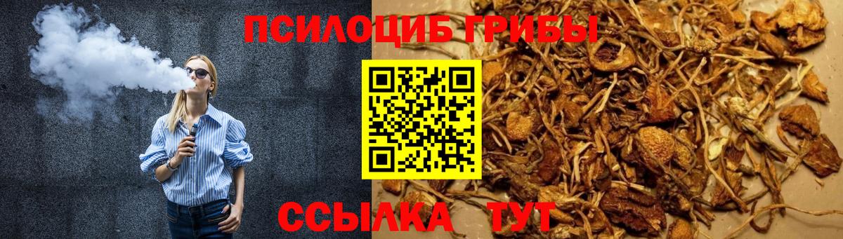 Амурск  Псилоцибиновые грибы MAGIC MUSHROOMS  Вход с VPN 