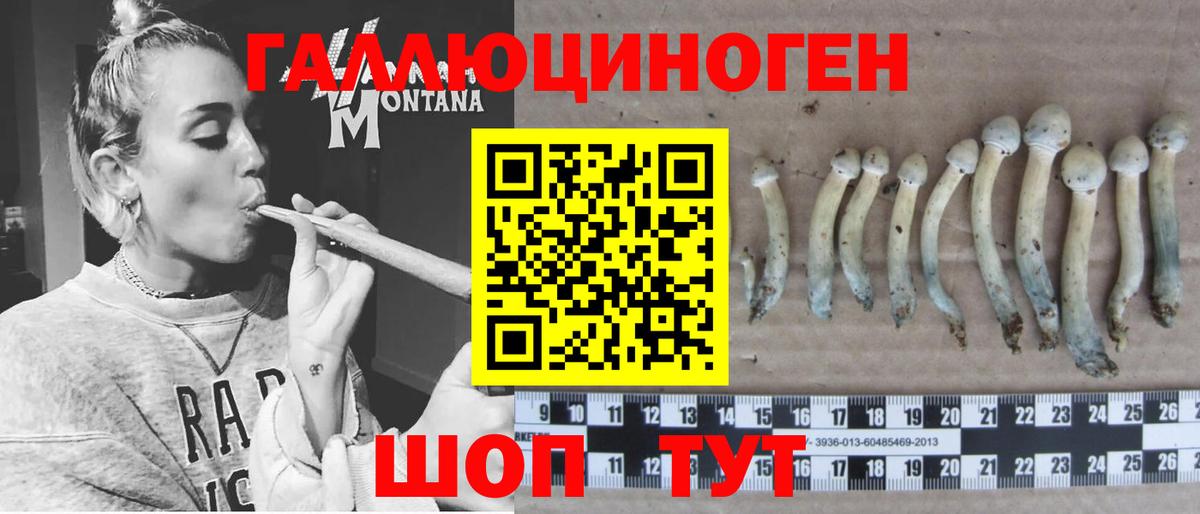 Галлюциногенные грибы GOLDEN TEACHER Амурск